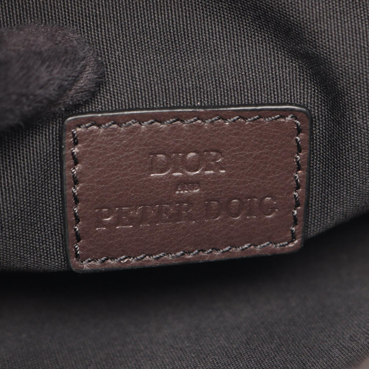 Dior Peter Doig · Saddle Bag