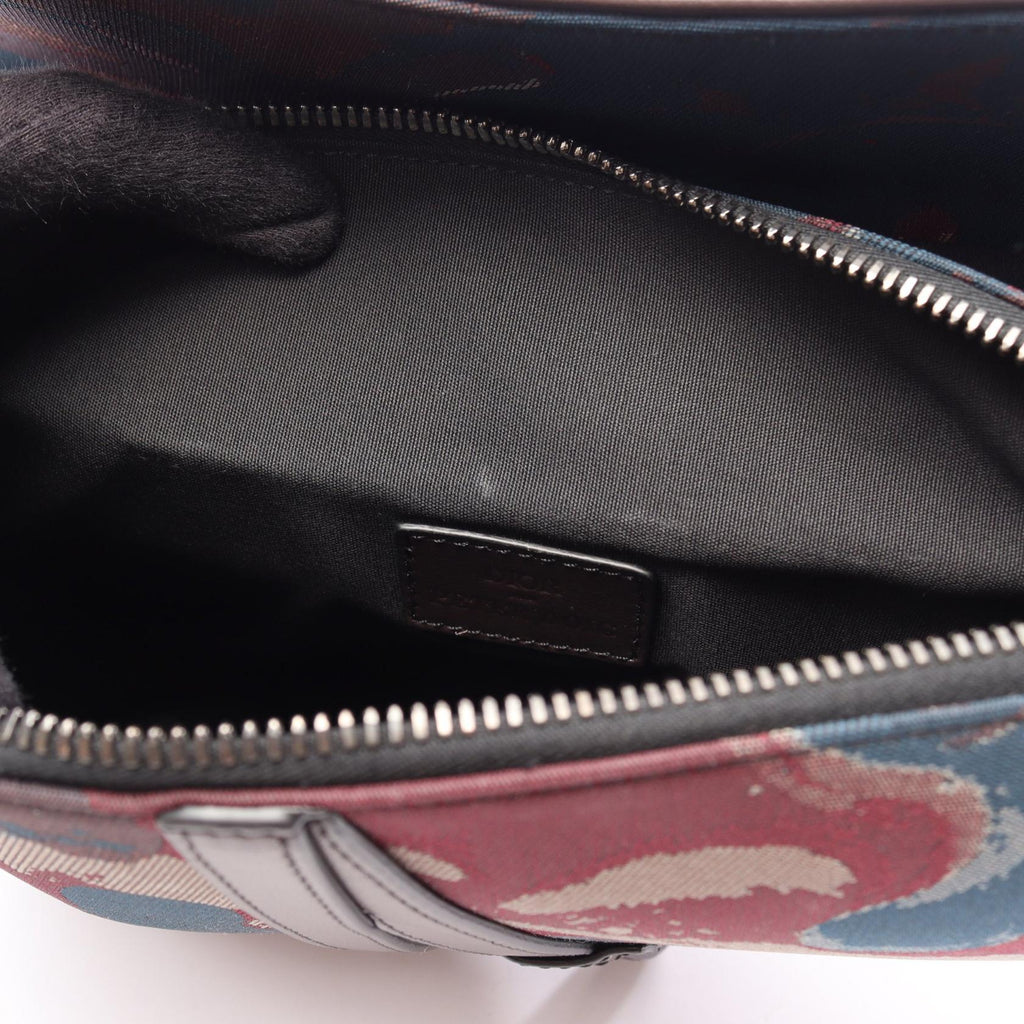 Dior Peter Doig · Saddle Bag