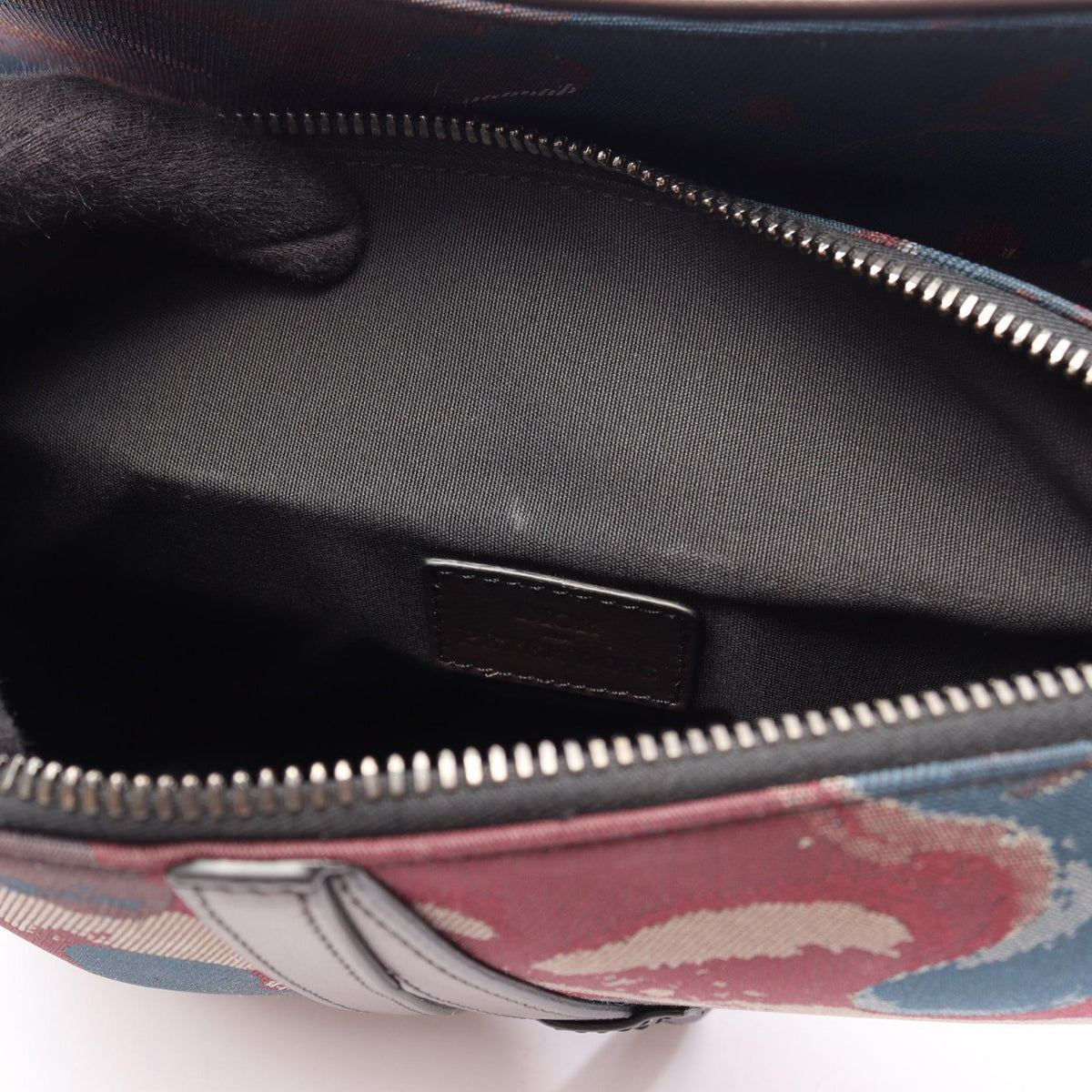 Dior Peter Doig · Saddle Bag