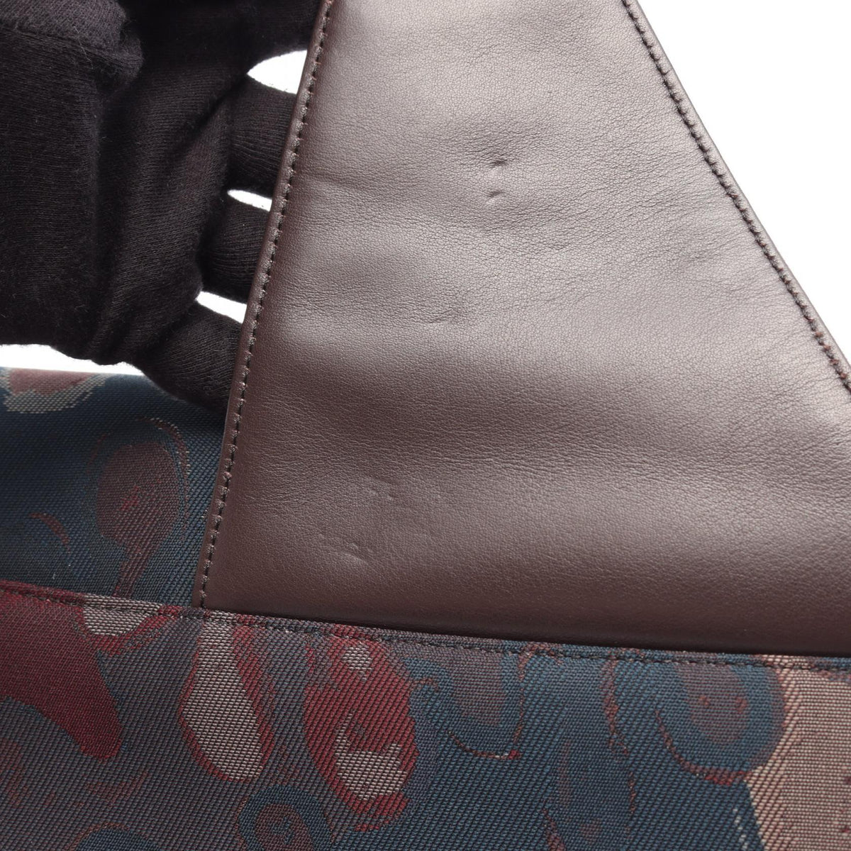 Dior Peter Doig · Saddle Bag