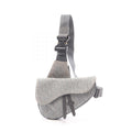 Dior Saddle · Oblique Canvas