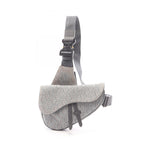 Dior Saddle · Oblique Canvas