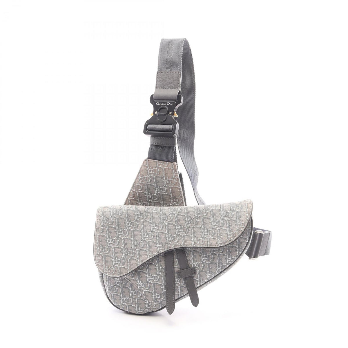 Dior Saddle · Oblique Canvas
