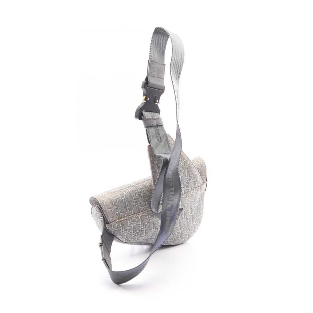 Dior Saddle · Oblique Canvas