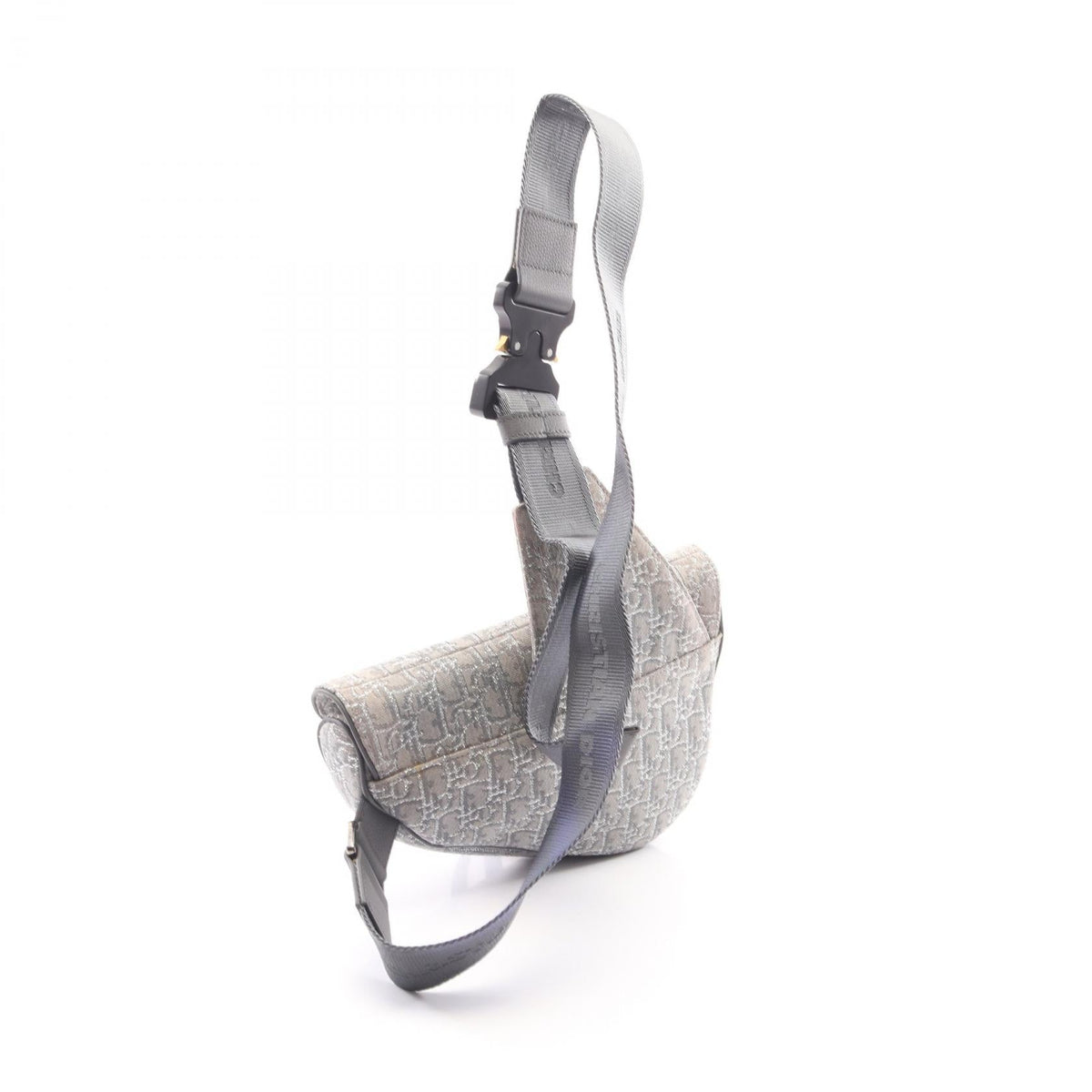 Dior Saddle · Oblique Canvas