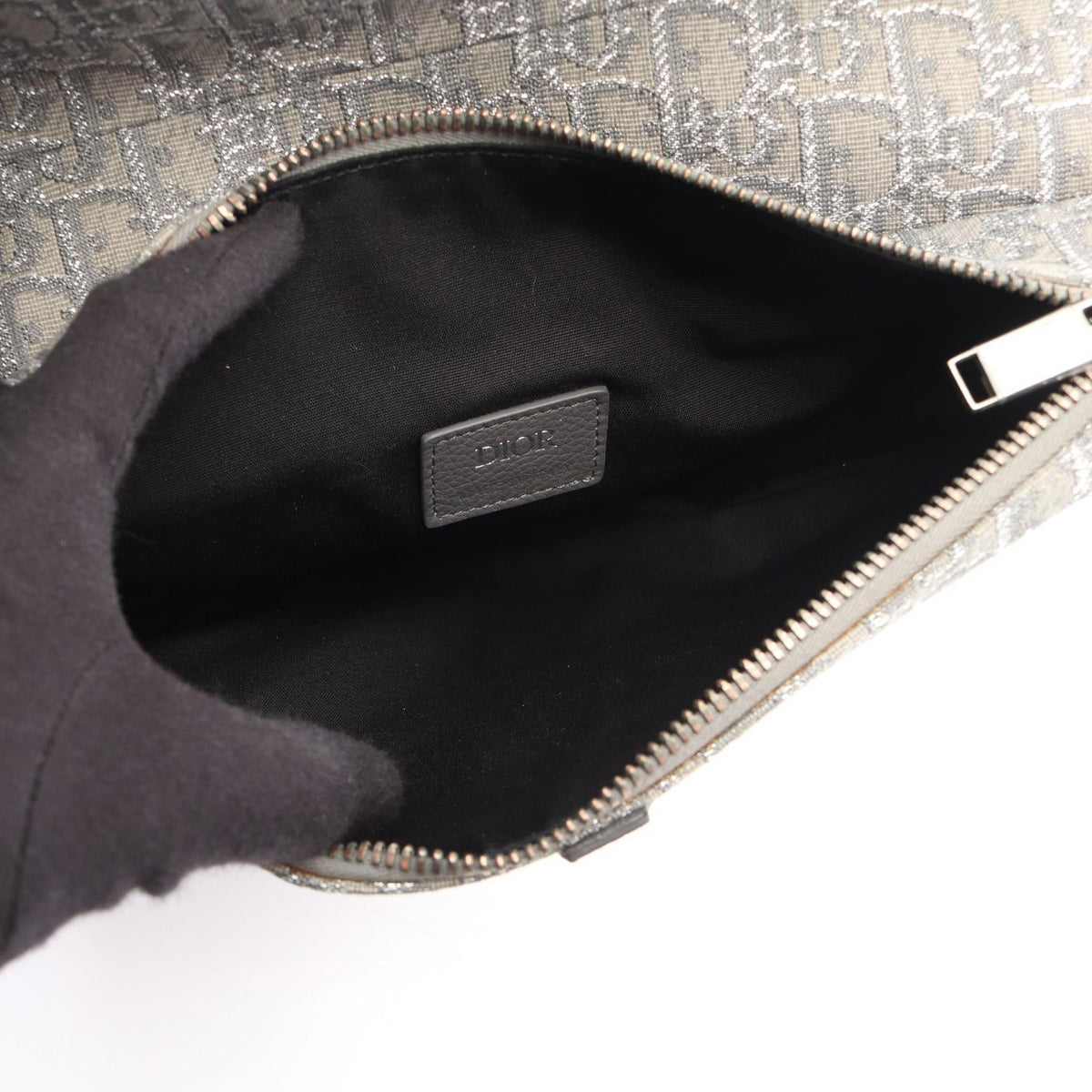 Dior Saddle · Oblique Canvas