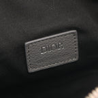 Dior Saddle · Oblique Canvas