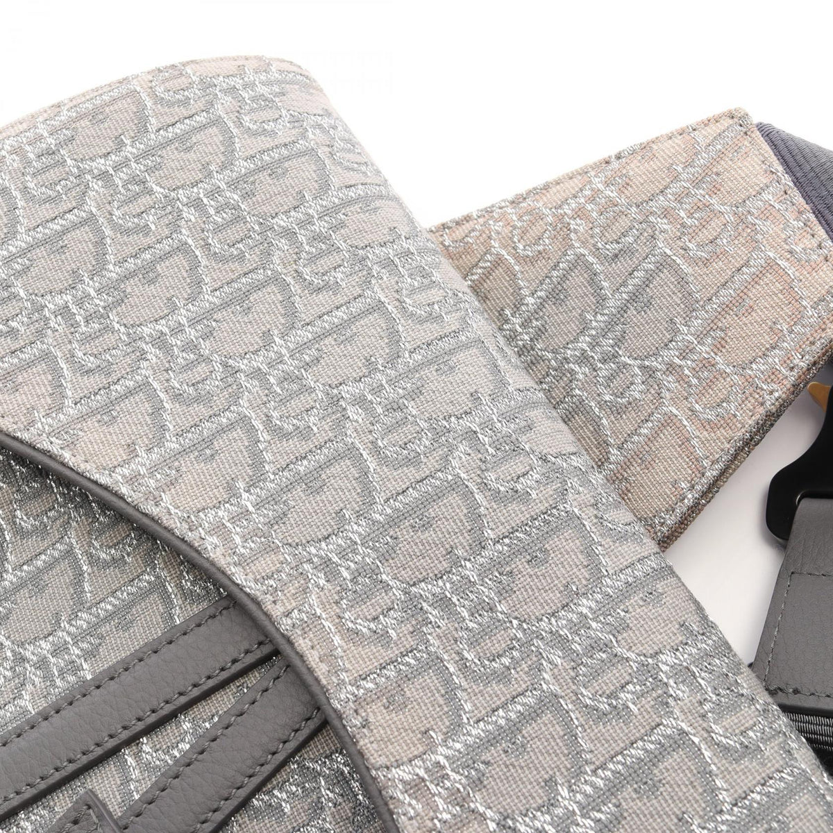 Dior Saddle · Oblique Canvas