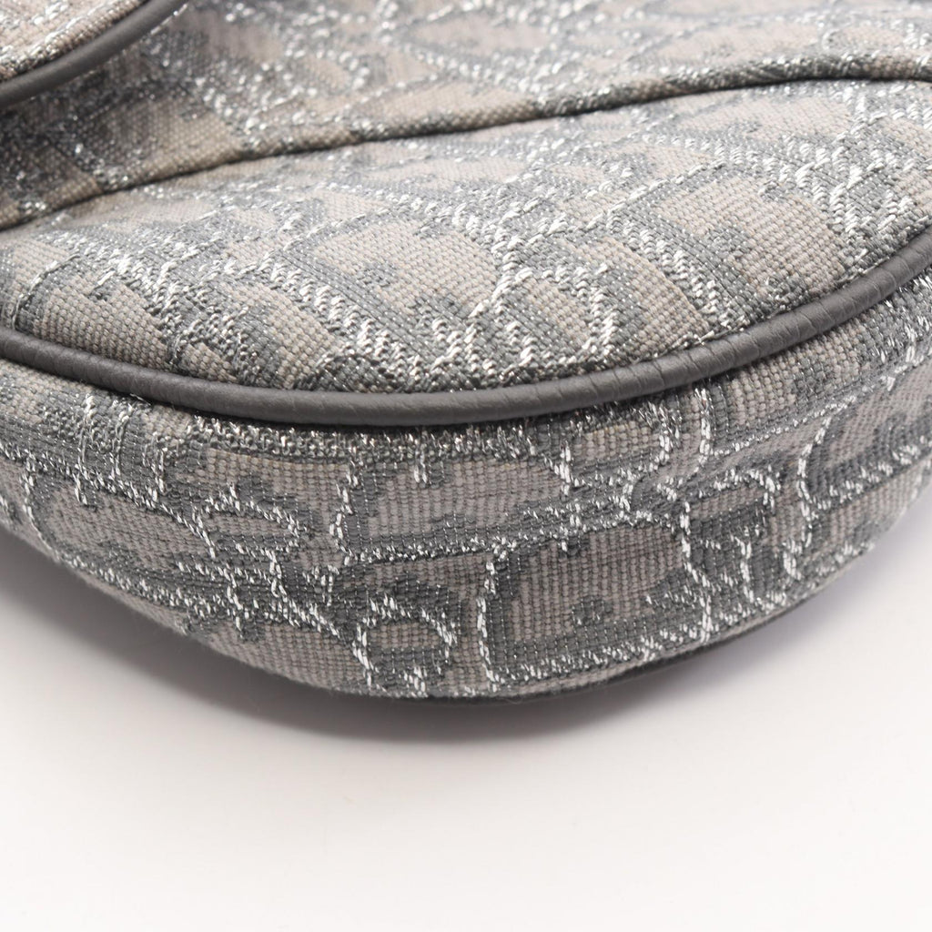Dior Saddle · Oblique Canvas