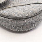 Dior Saddle · Oblique Canvas