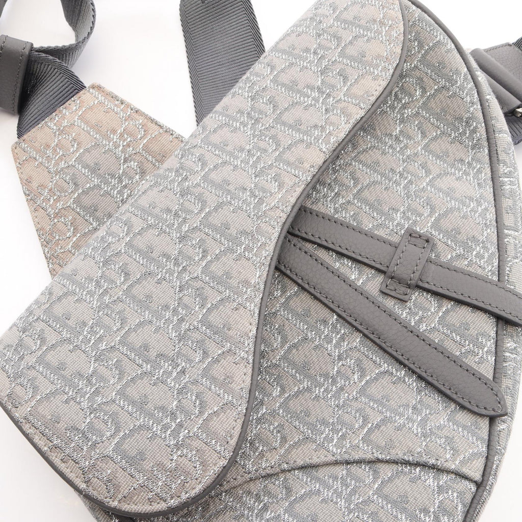 Dior Saddle · Oblique Canvas