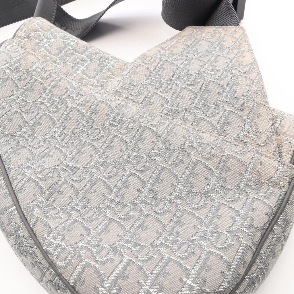 Dior Saddle · Oblique Canvas