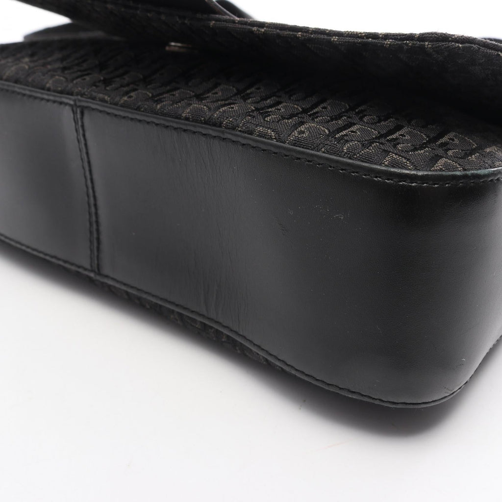 Dior Street Chic Trotter · Canvas