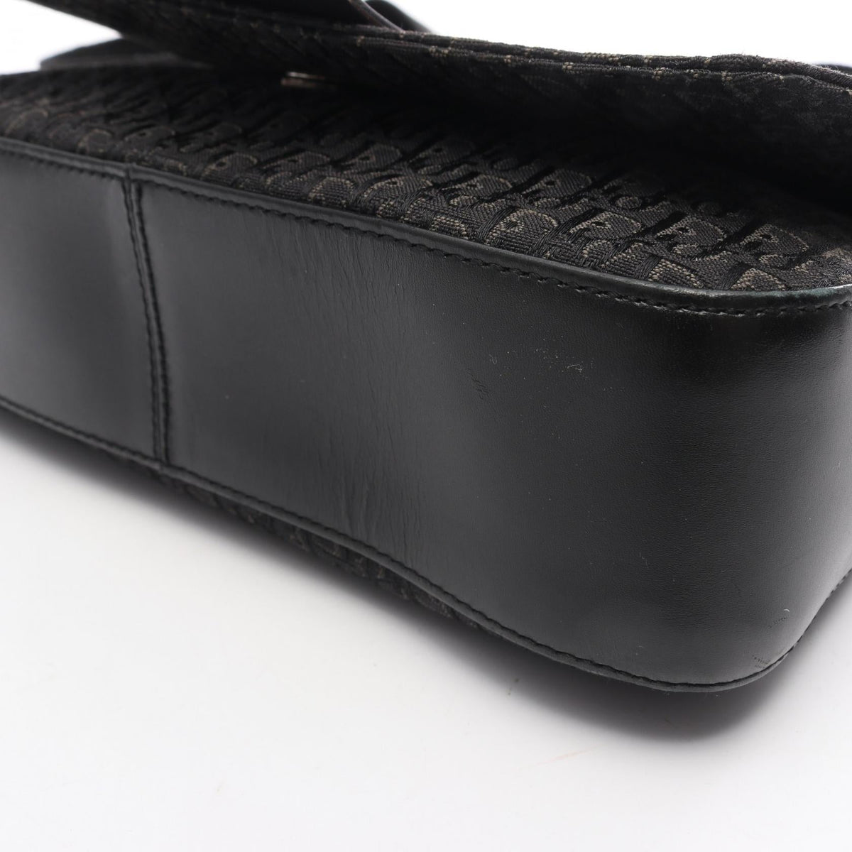 Dior Street Chic Trotter · Canvas