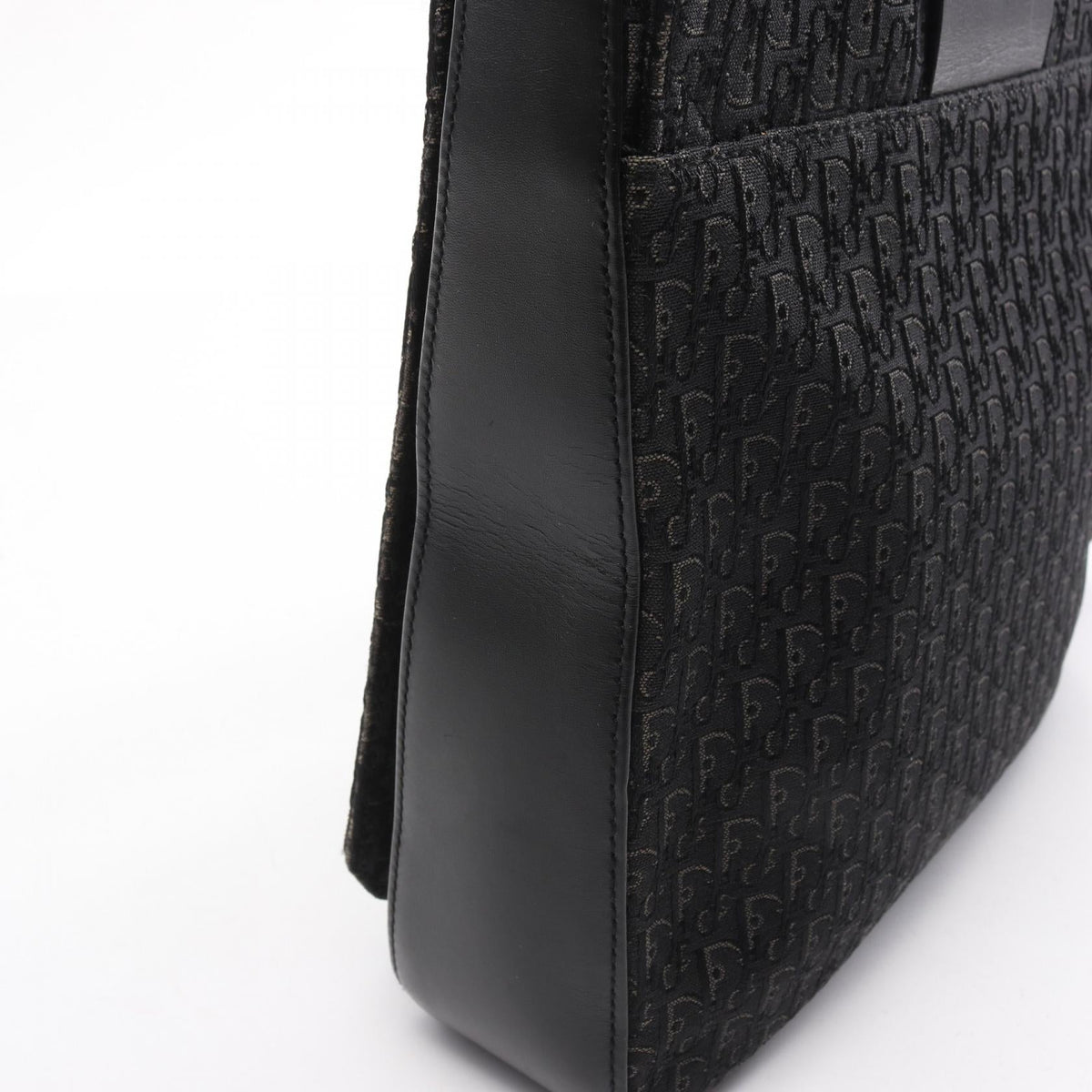 Dior Street Chic Trotter · Canvas