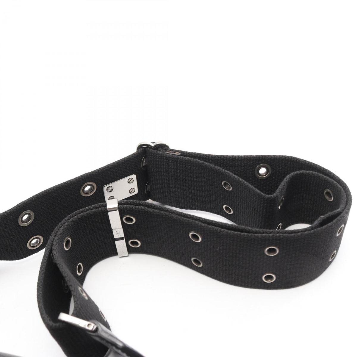 Dior Street Chic Trotter · Canvas