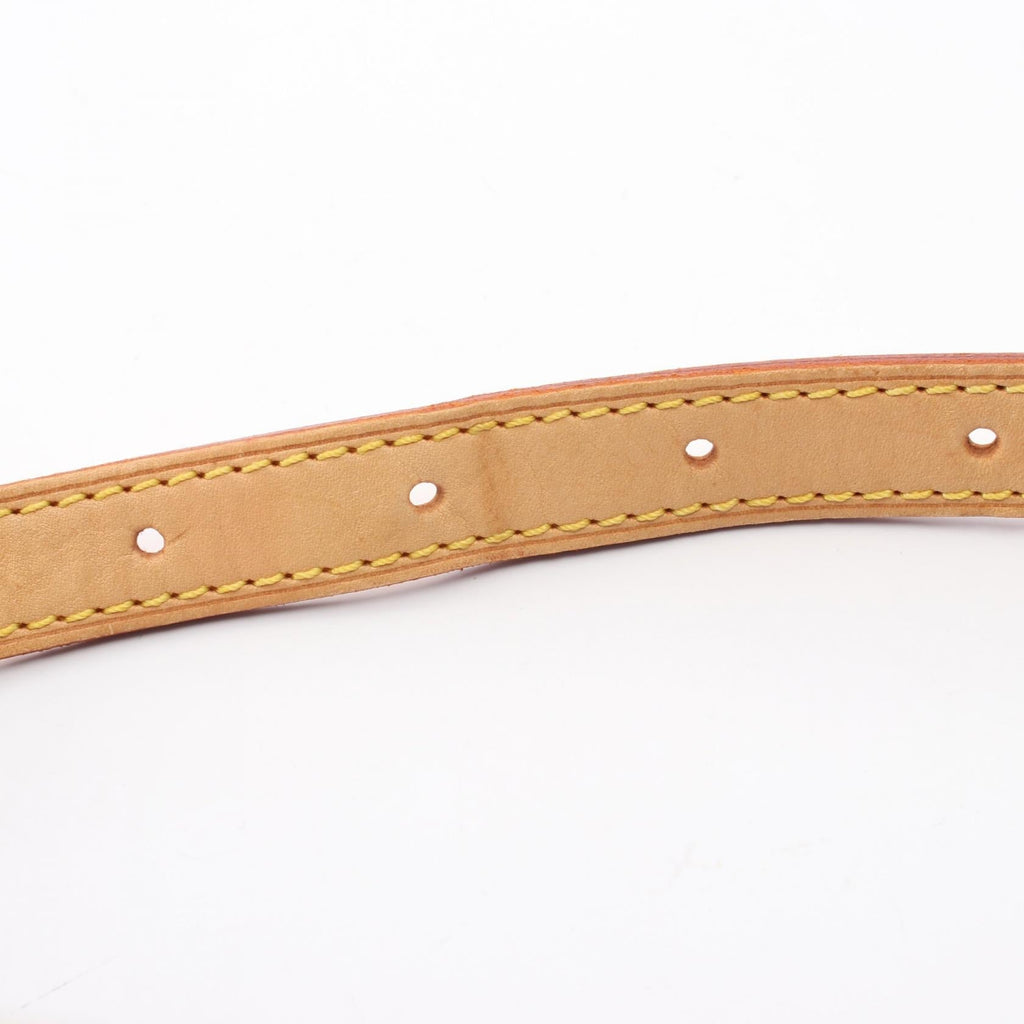Louis Vuitton Vivacite PM · Monogram