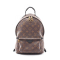 Louis Vuitton Palm Springs PM · Monogram