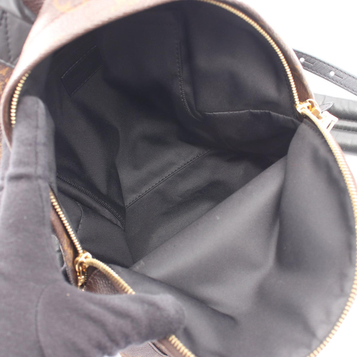 Louis Vuitton Palm Springs PM · Monogram