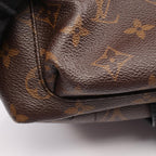 Louis Vuitton Palm Springs PM · Monogram