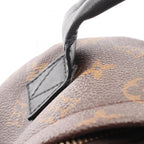 Louis Vuitton Palm Springs PM · Monogram