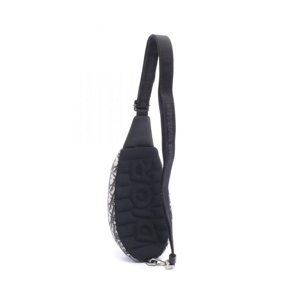 Dior Scarab · Oblique Canvas