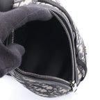 Dior Scarab · Oblique Canvas