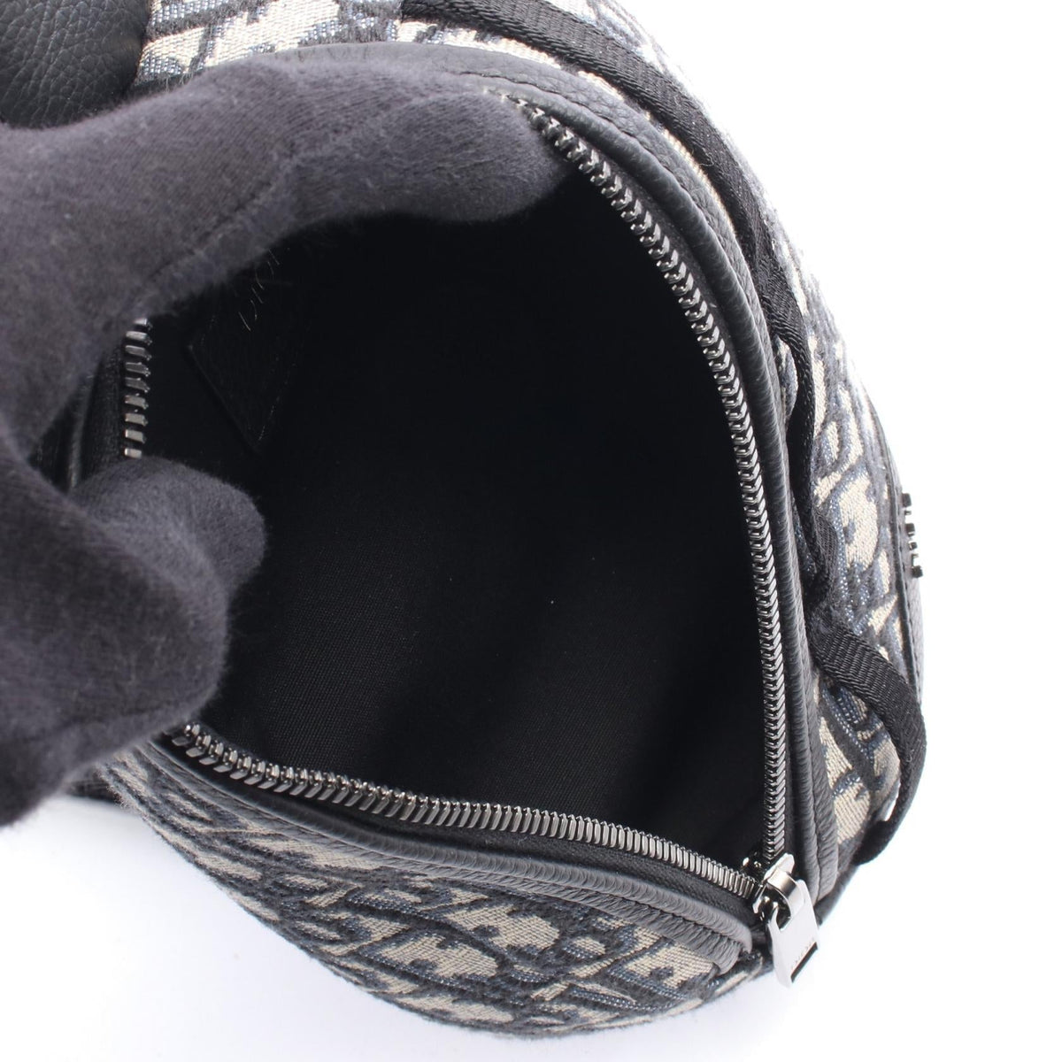 Dior Scarab · Oblique Canvas