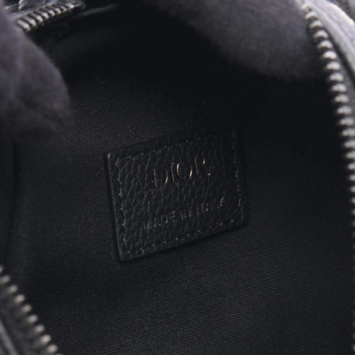 Dior Scarab · Oblique Canvas