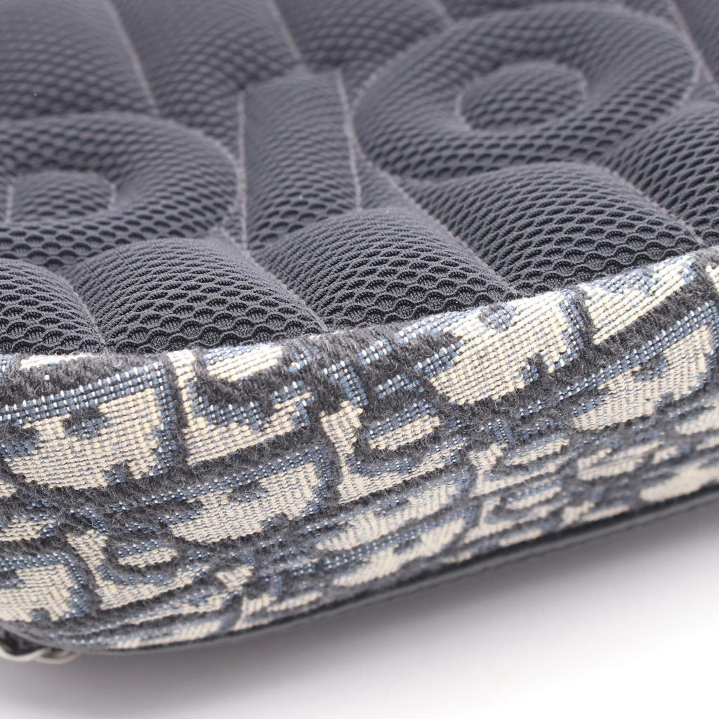 Dior Scarab · Oblique Canvas