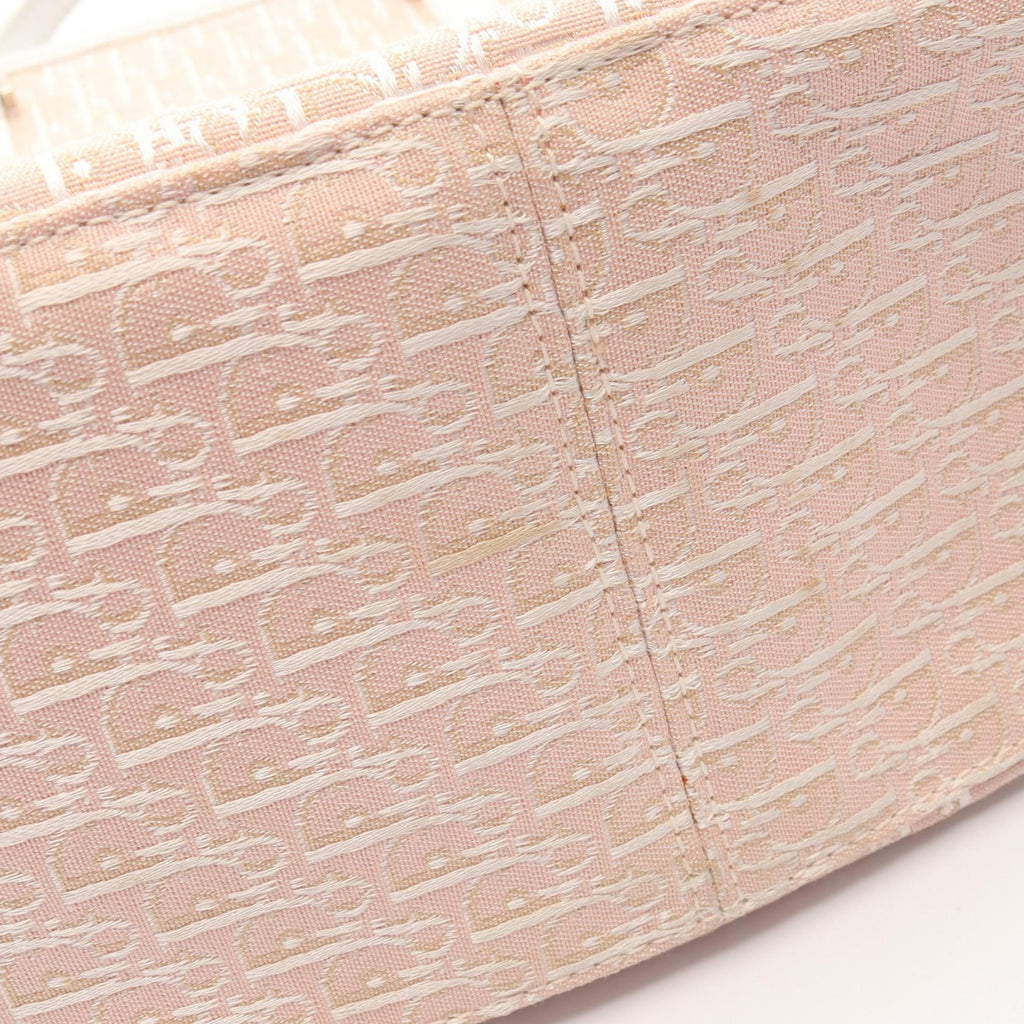 DIOR Trotter · Tote Shoulder Bag