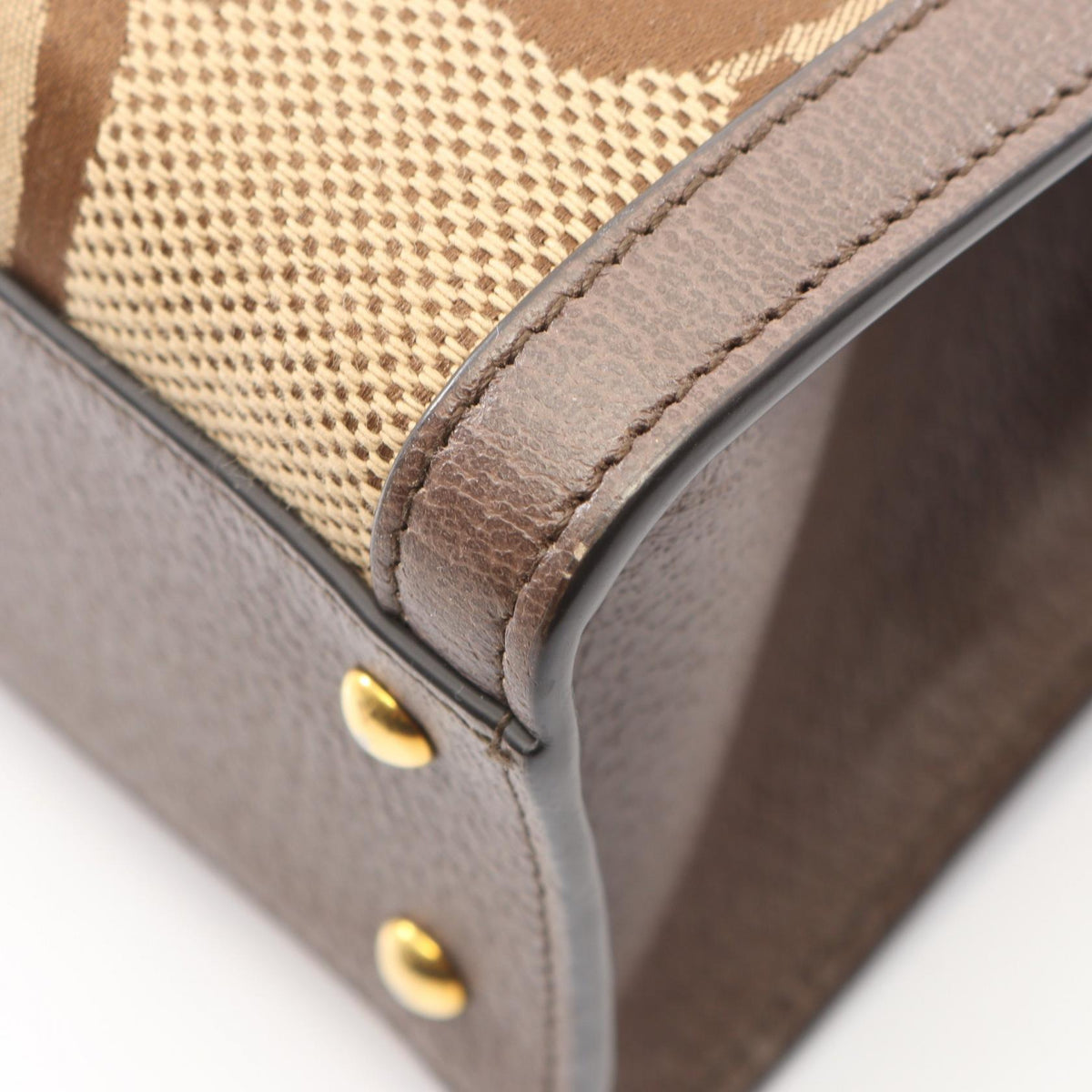 Gucci Diana Jumbo · GG Canvas