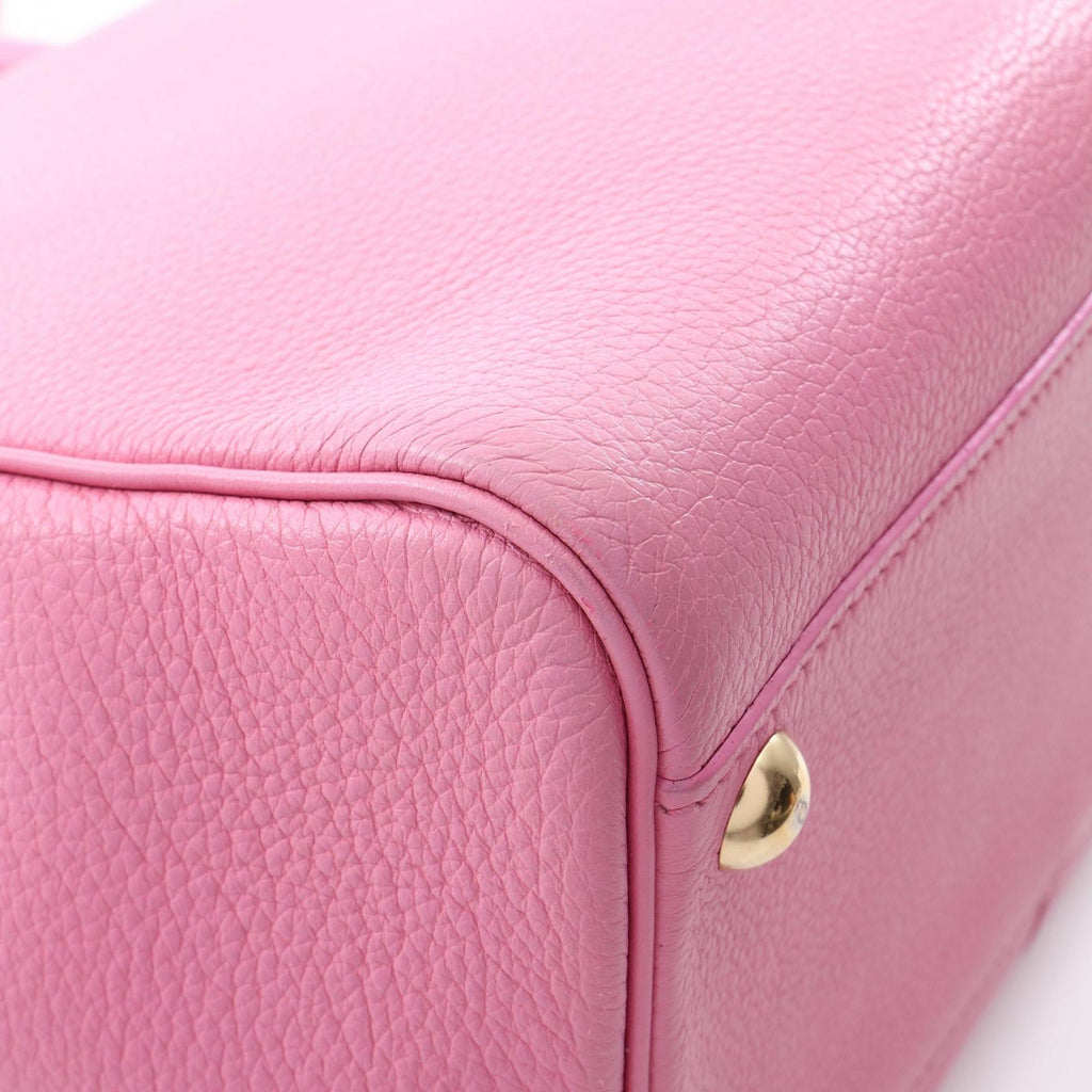 Delvaux Brillant 2WAY Handbag · Leather