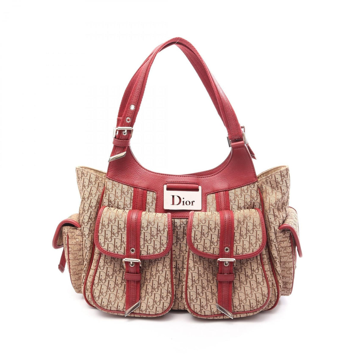 Dior Street Chic Trotter · Canvas