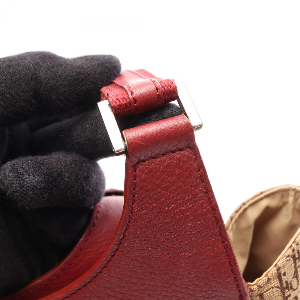 Dior Street Chic Trotter · Canvas
