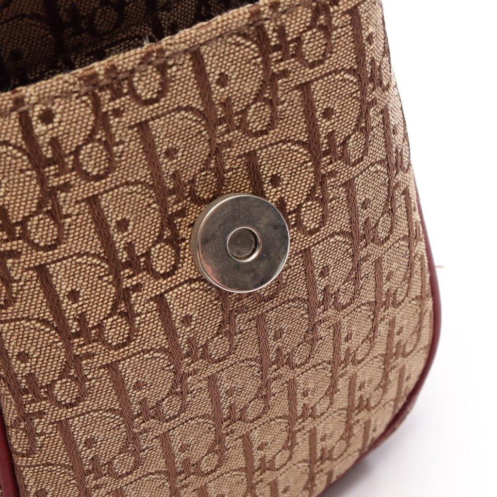 Dior Street Chic Trotter · Canvas