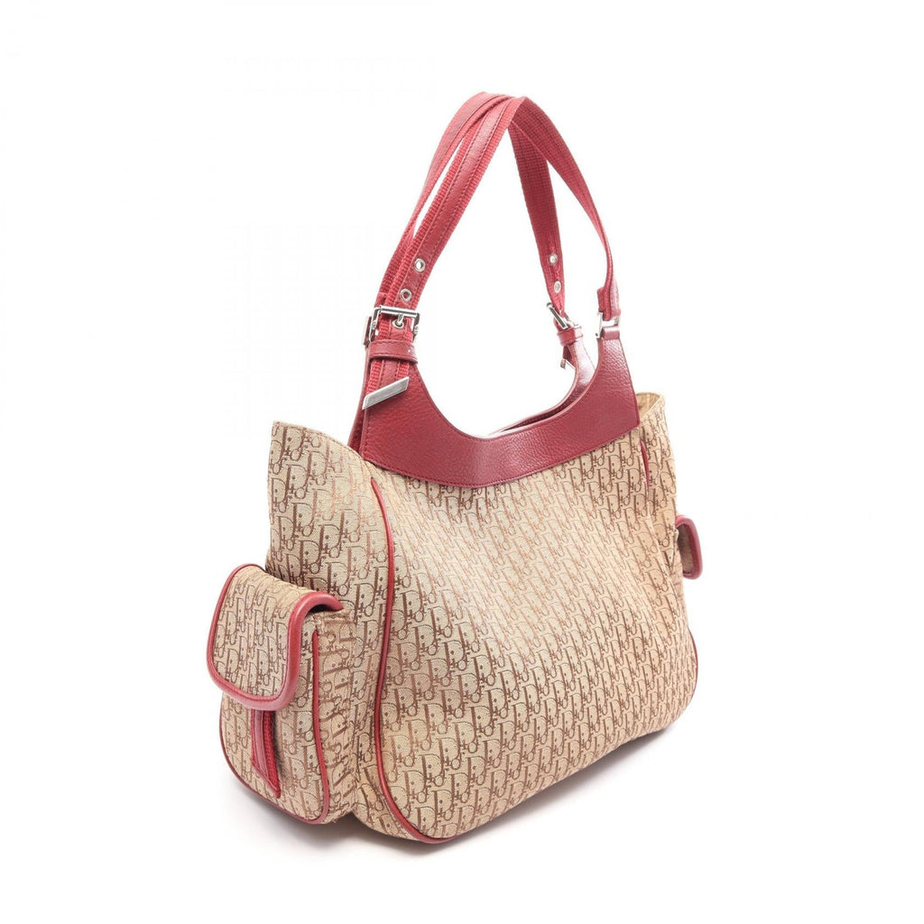 Dior Street Chic Trotter · Canvas
