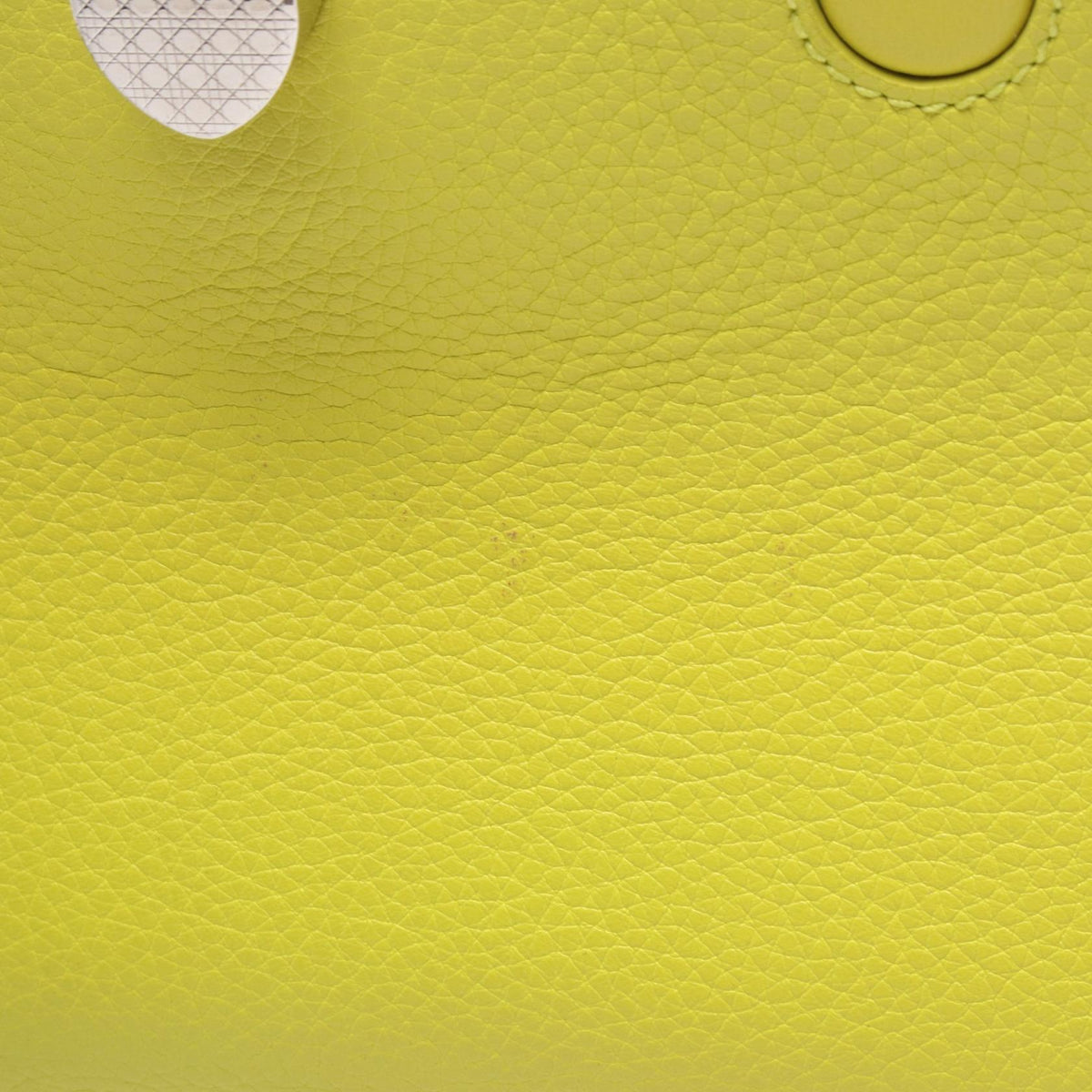 Dior Diorever · Leather 2WAY