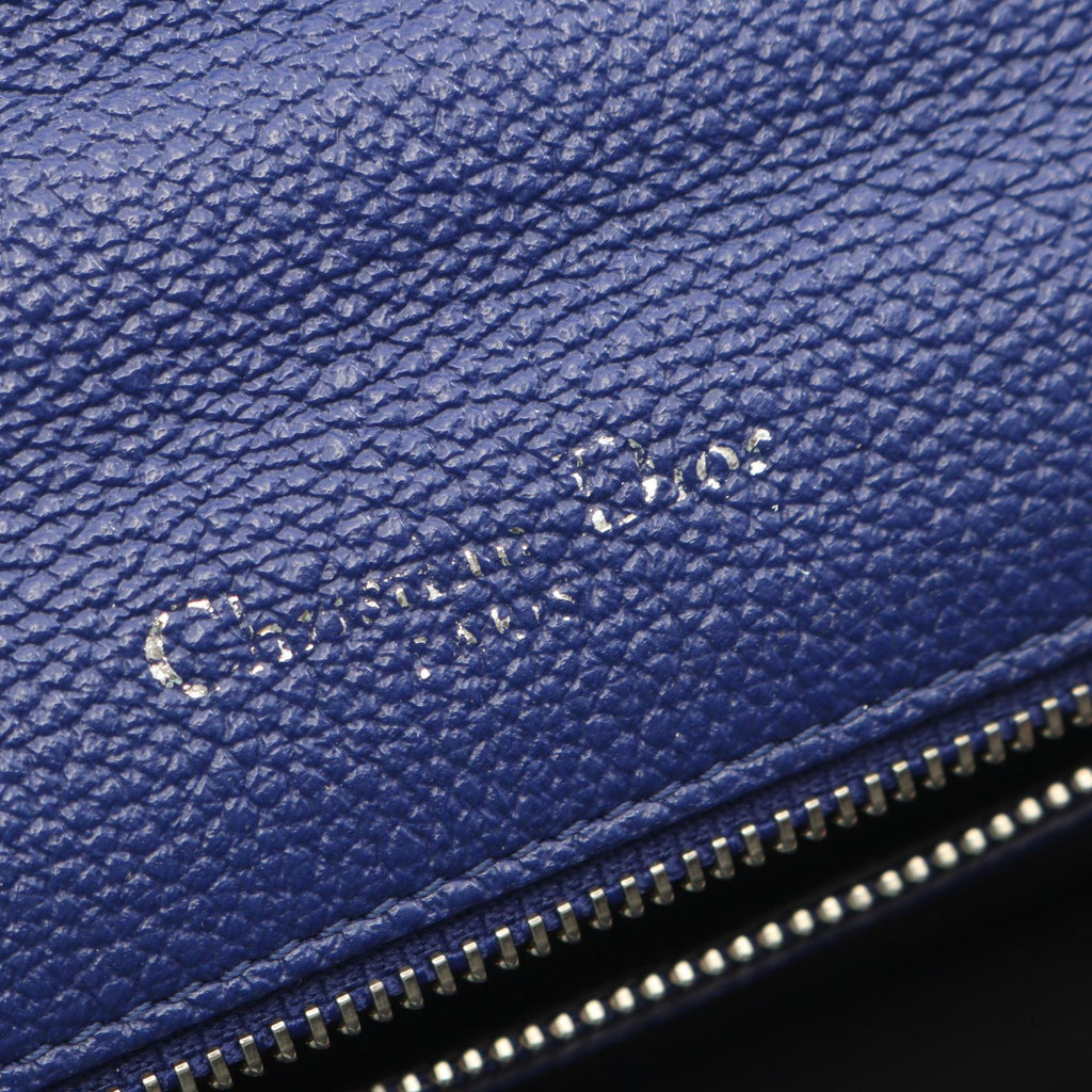 Dior Diorama · Leather Shoulder