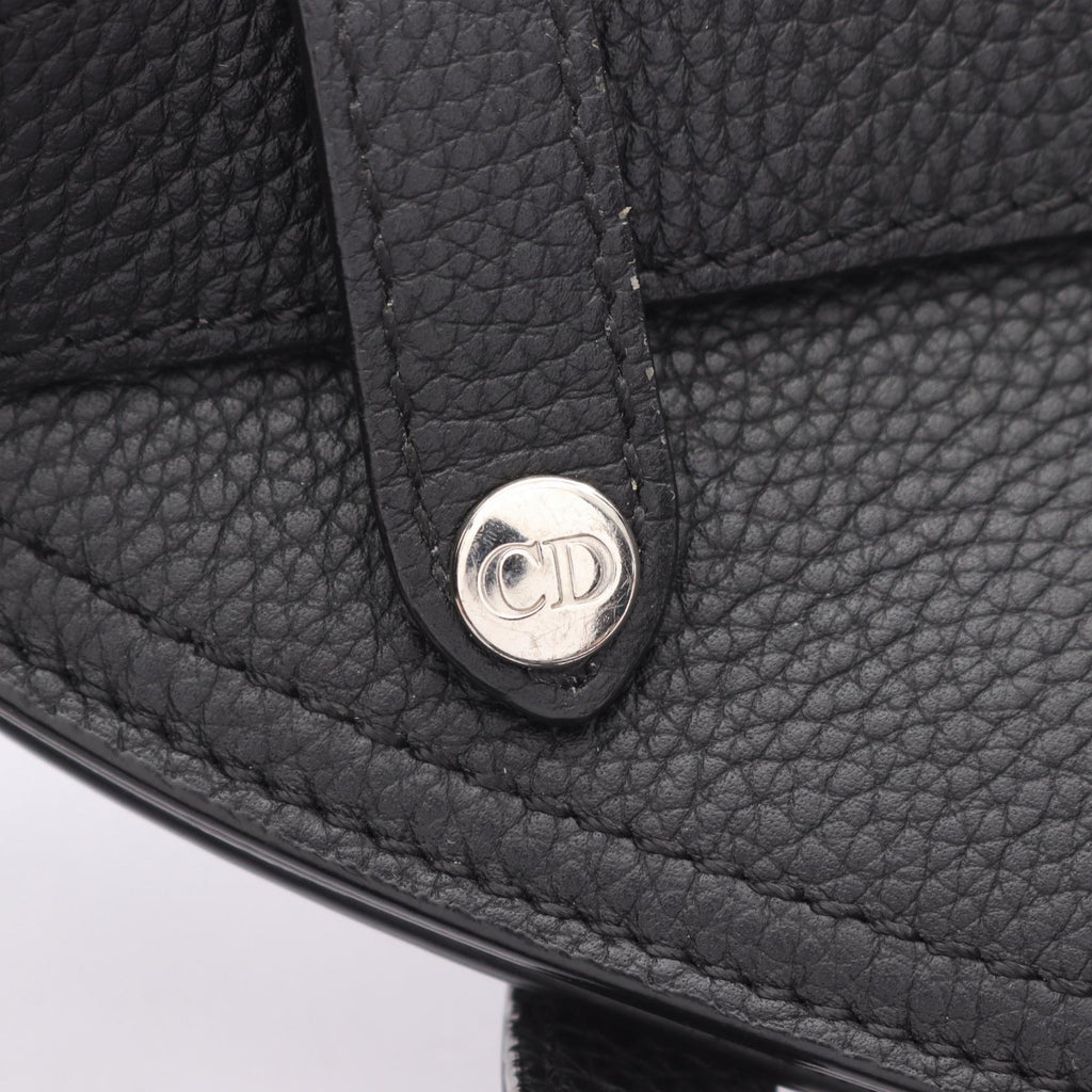 Dior Saddle · Waist Bag · Leather