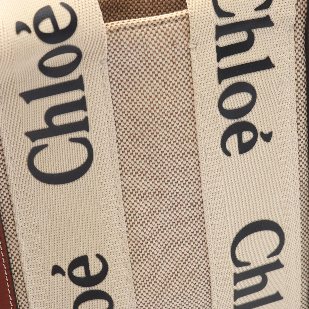 Chloé Woody Small · Canvas Tote