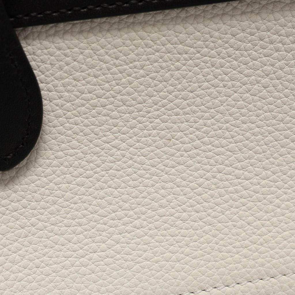 Celine Luggage Micro · Leather & Suede