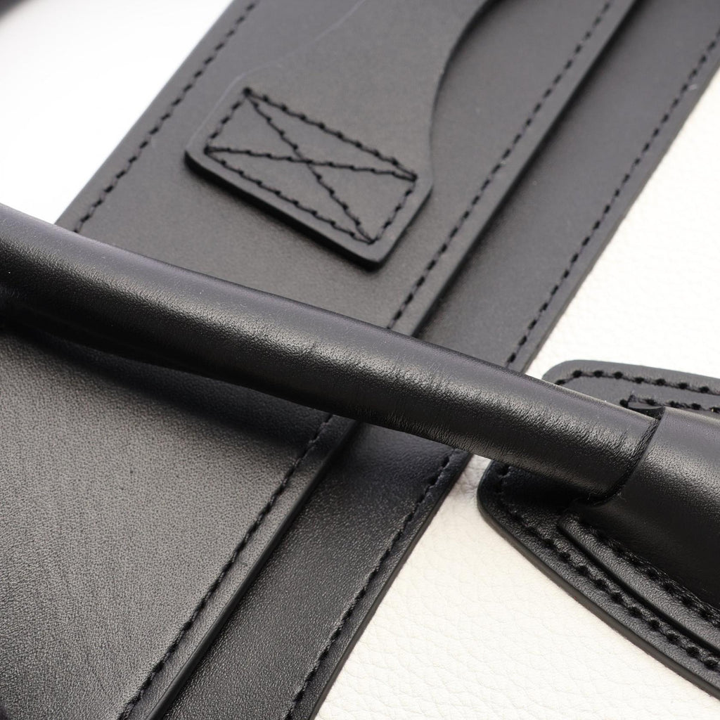 Celine Luggage Micro · Leather & Suede