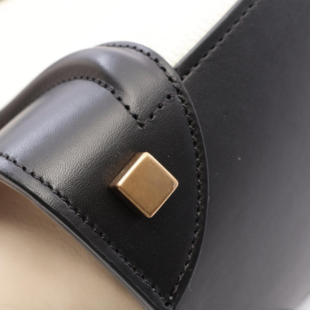 Celine Luggage Micro · Leather & Suede