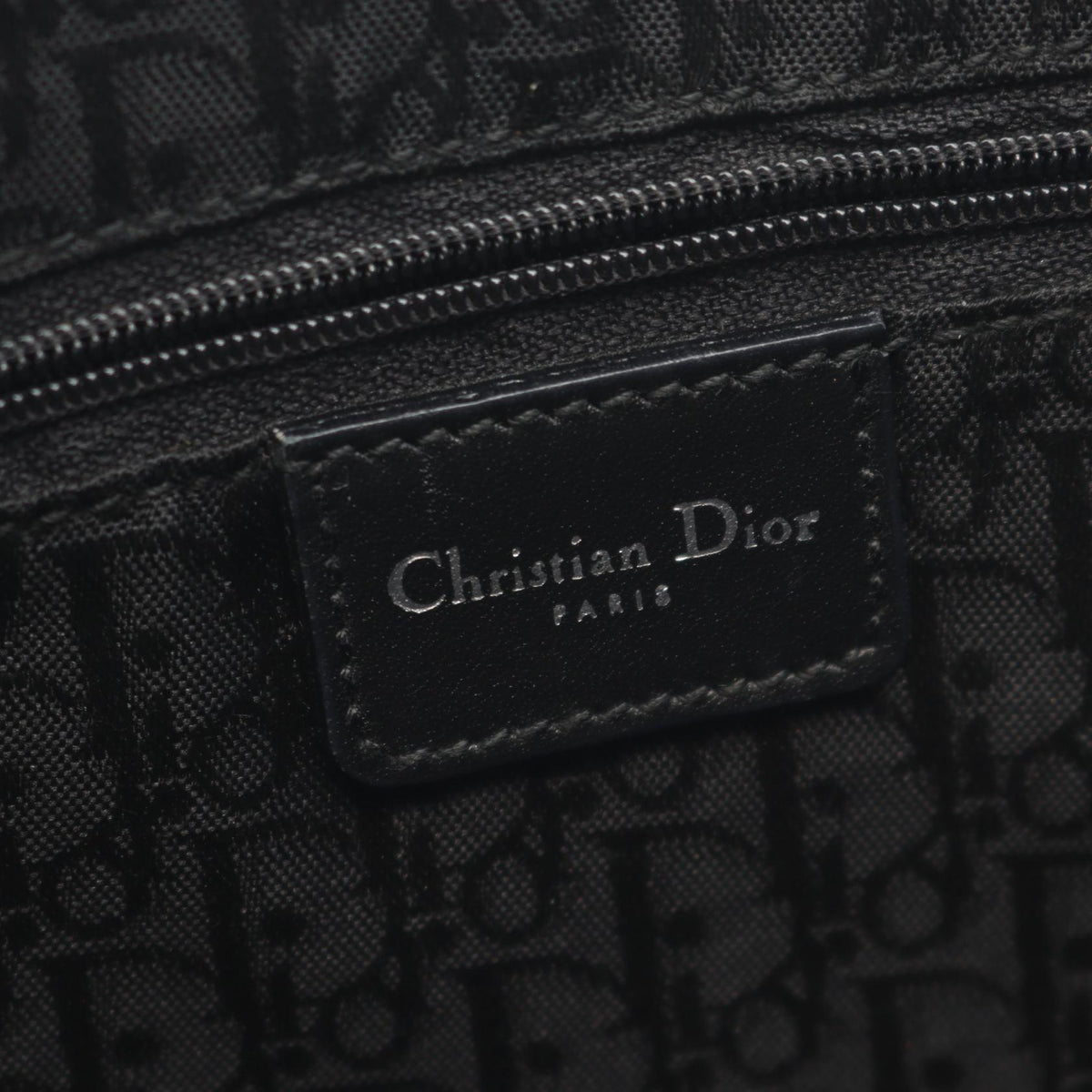 DIOR Mesh Hobo · Leather