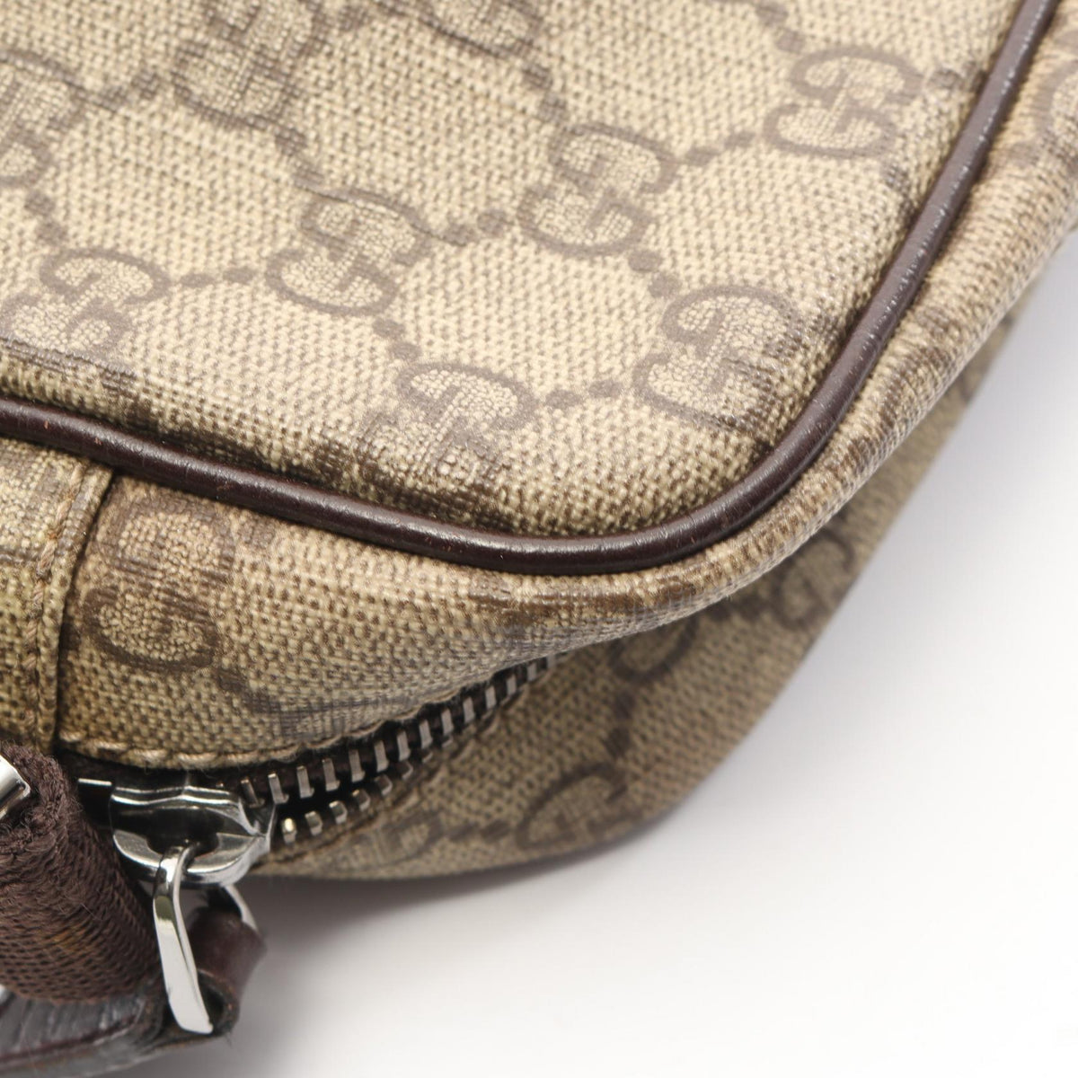 Gucci GG Plus · Canvas
