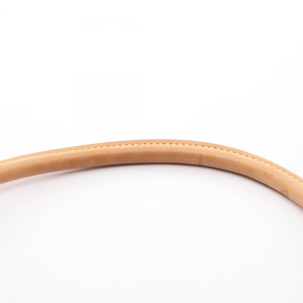 Louis Vuitton Mini Looping · Monogram