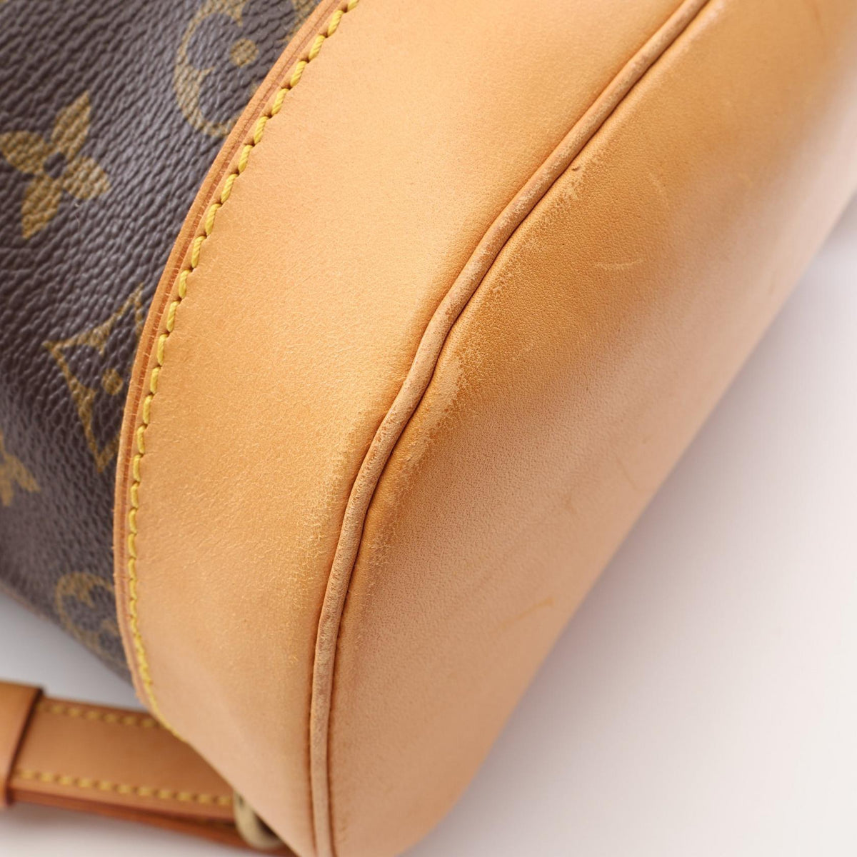 Louis Vuitton Montsouris GM · Monogram