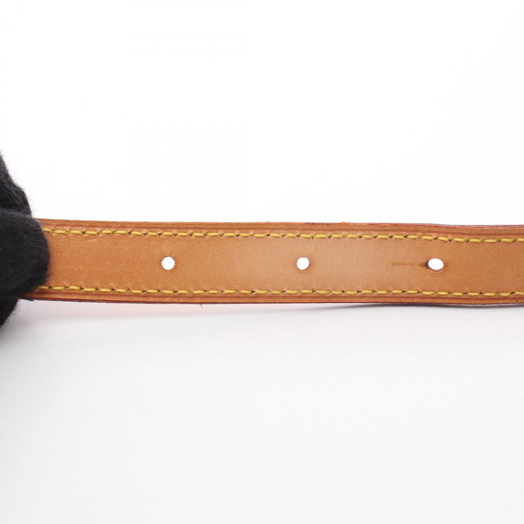 Louis Vuitton Musette Salsa · Monogram