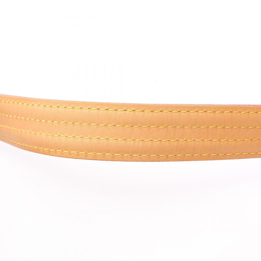 Louis Vuitton Vivasite MM · Monogram